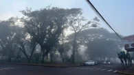 Tempo firme predomina no Sul nesta terça
(02)