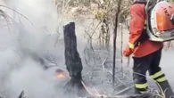 Após reunião, governo reforça ações contra incêndios no Pantanal