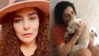 Letícia Sabatella denuncia adoção de cachorros sem autorização