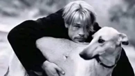 Brad Pitt adotou cães de rua na Argentina; entenda