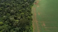 Para Greenpeace, nova lei de licença ambiental é devastadora