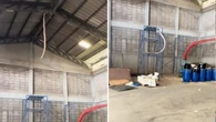 VÍDEO: cobra gigante cai de teto e apavora operários em galpão