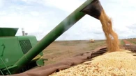 Plano Safra tem juro menor e carência recorde para agro verde