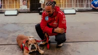 Hamilton agradece carinho de fãs após falecimento de Roscoe