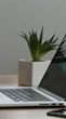 7 dicas práticas para melhorar a energia do home office