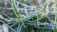 MG registra frio extremo com mínimas de -7°C no Sul do estado