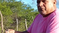 Homem compra pássaros presos e os devolve à natureza