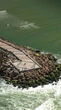 Urbanização ameaça resiliência climática das cidades