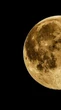 Superlua de abril 2025: quando ocorre e como usar essa força a seu favor