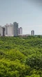 Florestas e cidades são frente comum na luta pelo clima