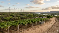 Sem Caatinga, o deserto avança