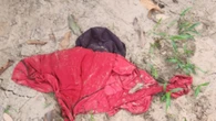 Corpo de homem desaparecido há 10 dias é encontrado em Goiás