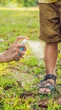 Qual é o melhor repelente contra o mosquito da dengue? 3 opções para proteger sua família