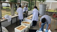 Projeto de R$ 1,4 milhão no CE transforma resíduos em biometano