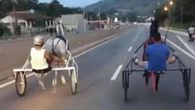 Câmara aprova projeto que pune uso de veículos com tração animal