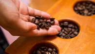 Entrevista: Marcos Matos detalha o 10º Coffee Dinner & Summit