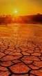 Planeta está ficando sem tempo para evitar impactos da crise ambiental