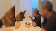 Cachorro rouba a cena ao resistir bravamente à comida do tutor