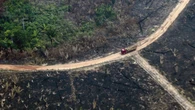 Amazônia pode entrar em colapso irreversível em 2050, diz estudo