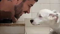 Cachorro surdo encontra lar e aprende Libras com novo casal