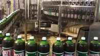 Grupo Dolly tem pedido de falência protocolado
