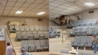 VÍDEO: vaca foge de leilão, invade arquibancada e causa tumulto