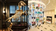 5 museus gratuitos para visitar em Tóquio