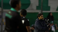 Abel Ferreira: "Só não esperava quem não gosta do Palmeiras"