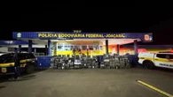 PRF e PM fazem maior apreensão de maconha do ano em SC
