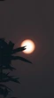 Ressaca pós-eclipse:por que estamos tão cansados e como se cuidar
