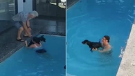 Tutora se joga duas vezes na piscina para salvar cão idoso