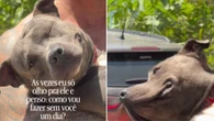 Com sorriso no rosto, cachorro volta da praia no colo do tutor