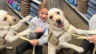 Cão salva menina com diabetes ao detectar queda de glicose