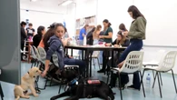 Companheiro de quatro patas ajuda jovem com autismo a estudar