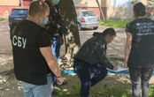 10 тисяч доларів з людини: СБУ викрила схему легалізації "гастарбайтерів" в Україні