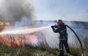 Синоптики попередили про пожежну небезпеку: в яких областях