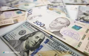 Курс долара впав до мінімуму з серпня минулого року