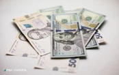 Курс долара на міжбанку прискорив зростання і піднявся вище 27,50 гривень