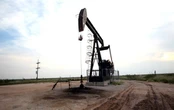 Ціни на нафту продовжили падіння на тлі різкого зміцнення курс долара