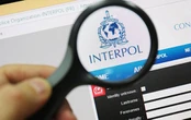 Вкрав майже пів мільйона доларів. У Києві затримали іноземця, якого розшукував Інтерпол