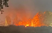 Під Херсоном затримали палія фермерського господарства: він був у бронежилеті і зі зброєю