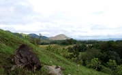 Gabon Saves Trees & Captures Carbon in 2nd Largest Rainforest