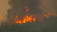 Pożary sieją spustoszenie. Ewakuowano setki tysięcy osób