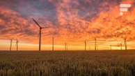 Coupure d’électricité massive : démêlons le vrai du faux sur les énergies renouvelables