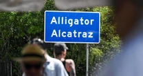 Trump administration moving detainees out of "Alligator Alcatraz"