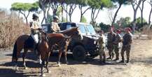 L’Esercito sta chiudendo il suo storico allevamento di cavalliIl Cemivet fu fondato nel 1870 e per molto tempo è stata un'attività importante per Grosseto; ora tutti gli animali saranno spostati nel Lazio dove nascerà un nuovo “polo equestre” militare