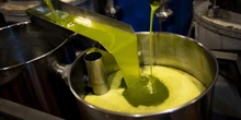 I grossi sequestri di olio contraffatto tra Italia e Spagna