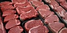 La Camera dei deputati ha approvato il disegno di legge che vieta la produzione e la vendita di carne coltivata in laboratorio 