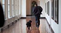 L’uomo che fotografò la presidenza ObamaSi chiama Pete Souza, è stato il celebratissimo fotografo ufficiale del presidente statunitense dal 2009 al 2017, e oggi compie settant'anni