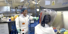 Blak-Blakan Ahli Virologi China Jawab Spekulasi Virus Corona Dikembangkan di Lab
